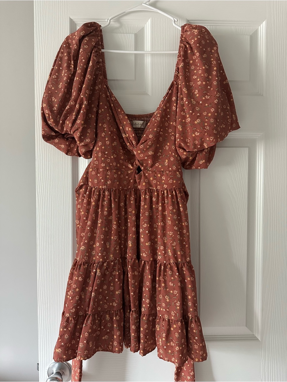 Altar'd State Rust Floral Puff-Sleeve Mini Dress